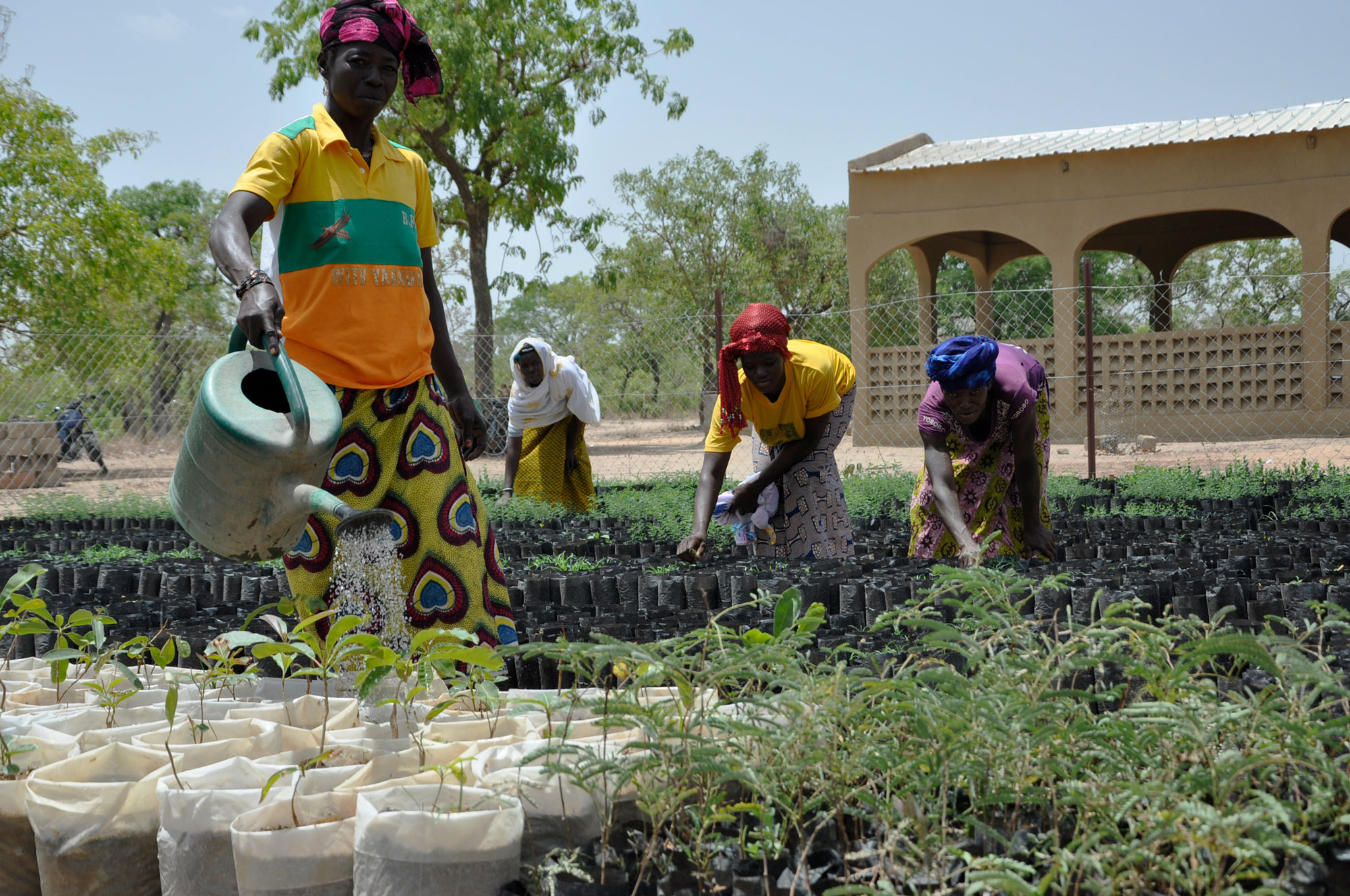 Assessing opportunities for sustainable land management in Africa: A cost-benefit approach in eight countries